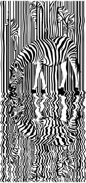Zebra med reflektion — Stock vektor