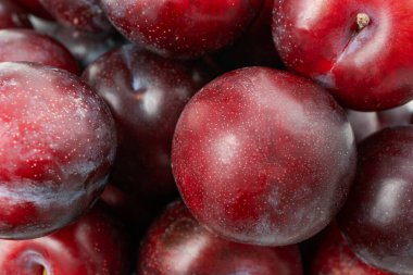 Tüm arka planda lezzetli erikler var. Kapatın..