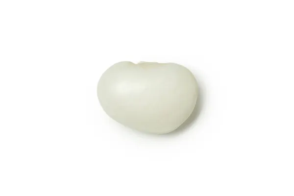 Een Witte Bonen Geïsoleerd Witte Achtergrond — Stockfoto