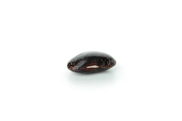 一个黑豆 白色背景的孤立物 — 图库照片