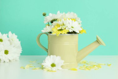 Nane arkaplanına karşı kasımpatı konservesi.