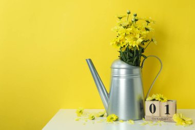 Sarı zemin üzerinde kasımpatı bulunan sonbahar kompozisyonu.