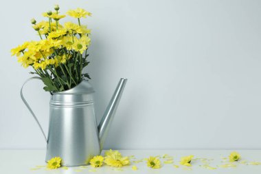 Kasımpatılarla hafif arka planda konserve sulama.