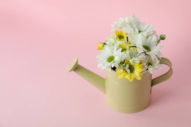 Pembe arka planda kasımpatı olan konserve sulama kutusu.