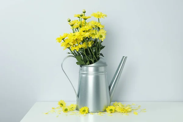 Watering Can Chrysanthemums Light Background — Stock Photo, Image