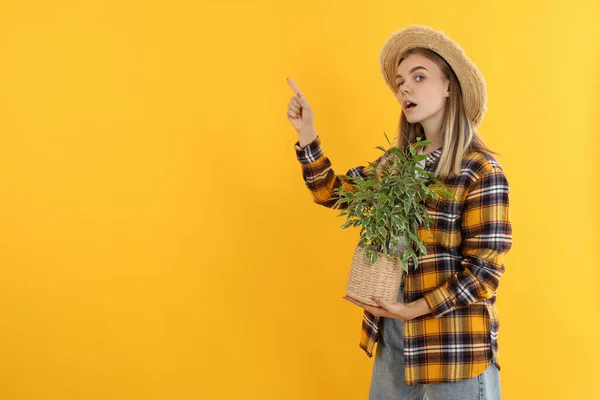 Muda Menarik Gadis Tukang Kebun Latar Belakang Kuning — Stok Foto