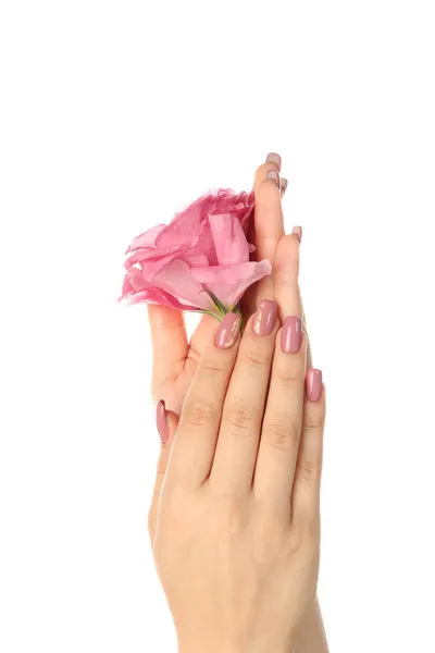 Красиві Жіночі Руки Квітами Ізольовані Білому Тлі — стокове фото