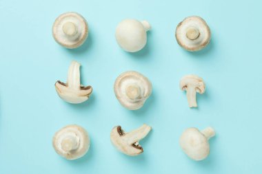 Mavi zemin üzerinde şampiyonlar olan düz konum