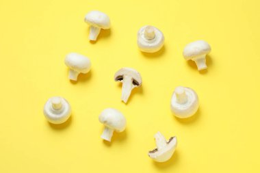 Düz kompozisyon ve sarı arka planda şampiyonlar