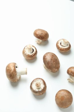 Beyaz zemin üzerinde şampiyonlar ile düz konum