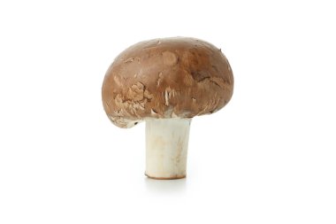 Beyaz arka planda izole edilmiş lezzetli mantarlar.
