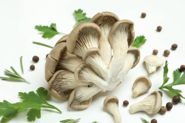 Lezzetli yemek kavramı, beyaz mantarlı istiridye.