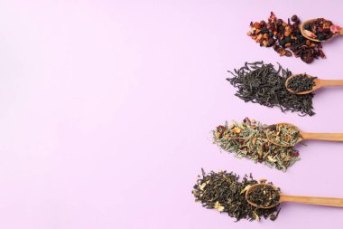 Mor zemin üzerinde farklı çay türleri olan çay pişirme kavramı