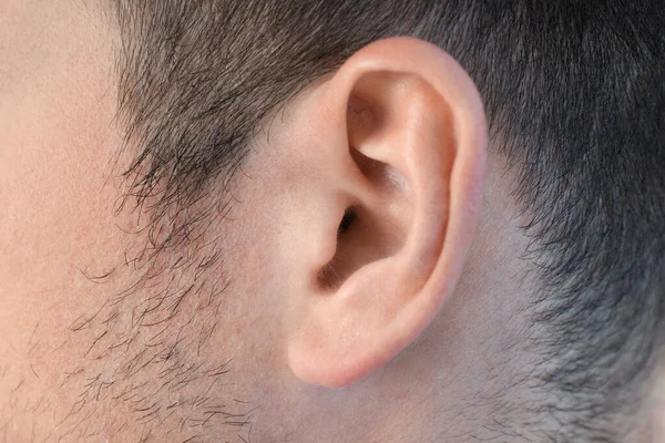 Oreja Joven Por Todo Fondo Cerca —  Fotos de Stock