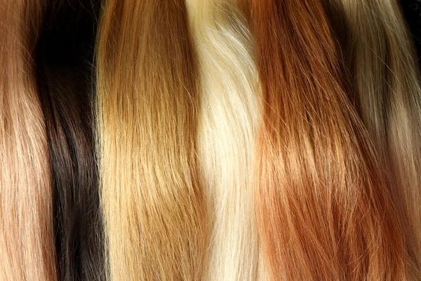 Colore Differente Capelli Femminili Tutto Sfondo Primo Piano — Foto Stock