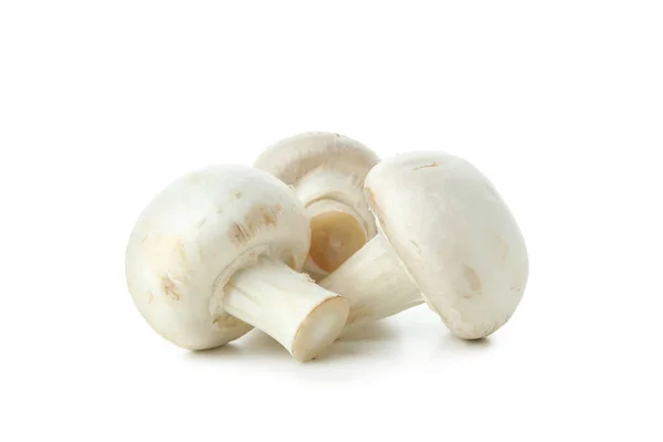 Cogumelos Champinhons Saborosos Isolados Fundo Branco — Fotografia de Stock