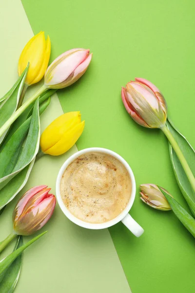 Kawa Tulipany Tle Dwóch Tonów — Zdjęcie stockowe