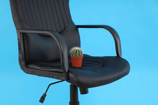 Chair Cactus Blue Background Hemorrhoids Concept — Stockfoto