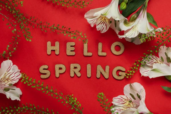 Hello Spring Concept Sur Fond Rouge Vue Dessus — Photo