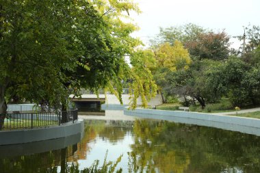 Pond in a city park on an autumn day