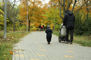 People walk in the park in autumn season