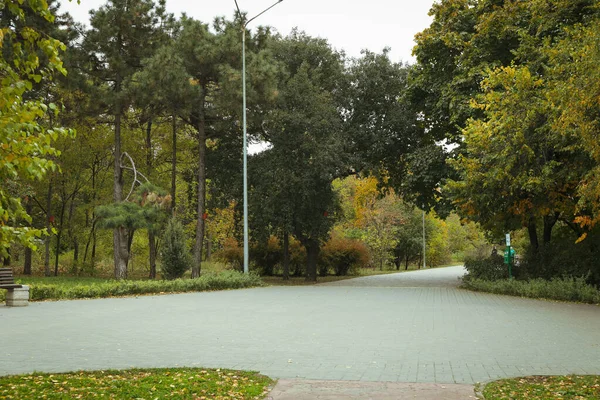 City Park Paths Autumn Day — Fotografia de Stock
