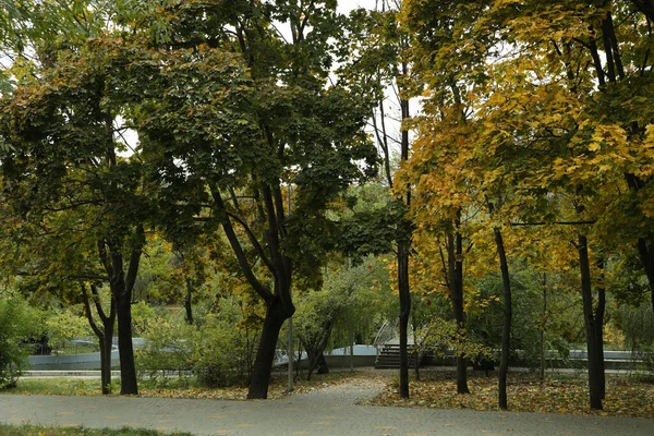 City Park Paths Autumn Day — Photo