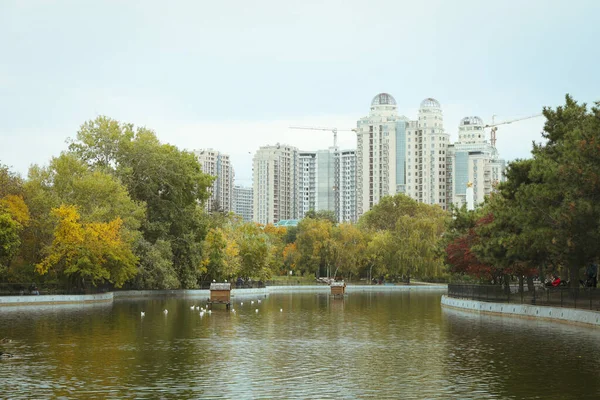 秋の日に市公園内の池 — ストック写真