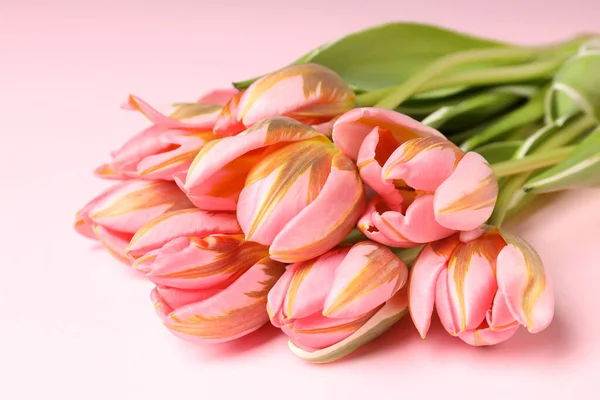 Bukiet Różowych Tulipanów Różowym Tle — Zdjęcie stockowe