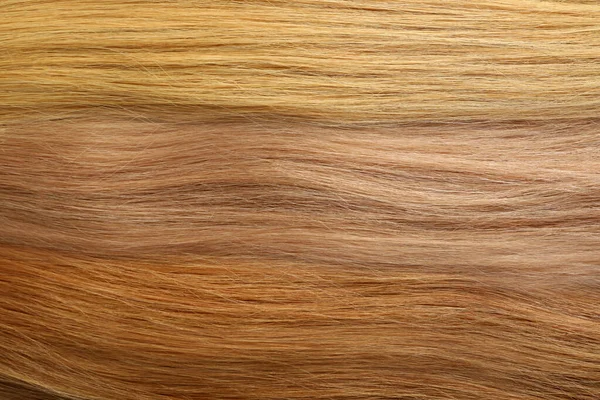 Different Shade Female Hair Whole Background — Stock Photo, Image