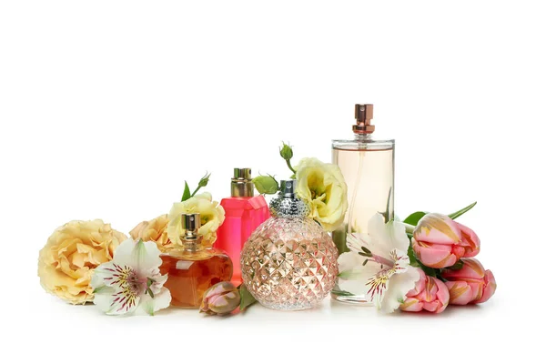 Różne Perfumy Składniki Izolowane Białym Tle — Zdjęcie stockowe