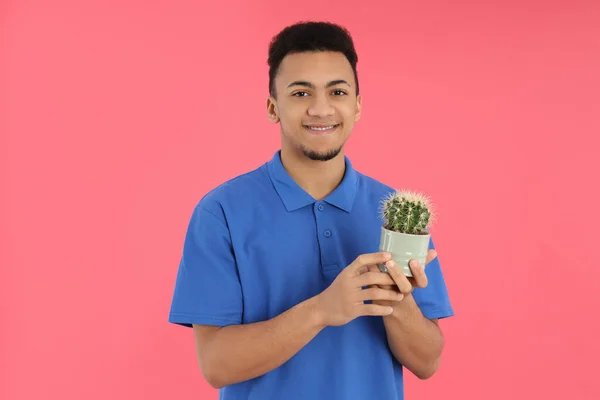 Jeune Homme Avec Cactus Sur Fond Rose — Photo