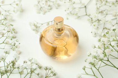 Kokulu parfüm kavramı, yakın plan.