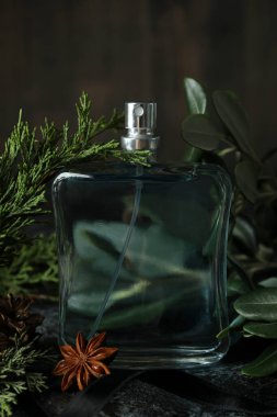Kokulu parfüm kavramı, yakın plan.