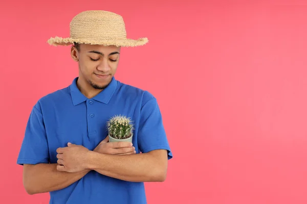 Jeune Homme Avec Cactus Sur Fond Rose — Photo