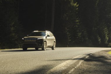 Güneşli bir günde Ukrayna Karpat Dağları 'nda yol