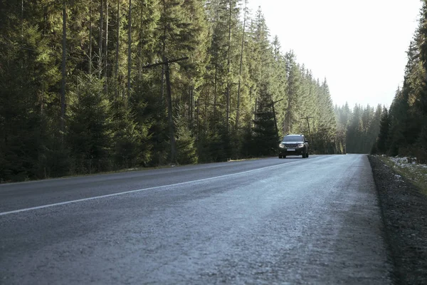 Güneşli bir günde Ukrayna Karpat Dağları 'nda yol