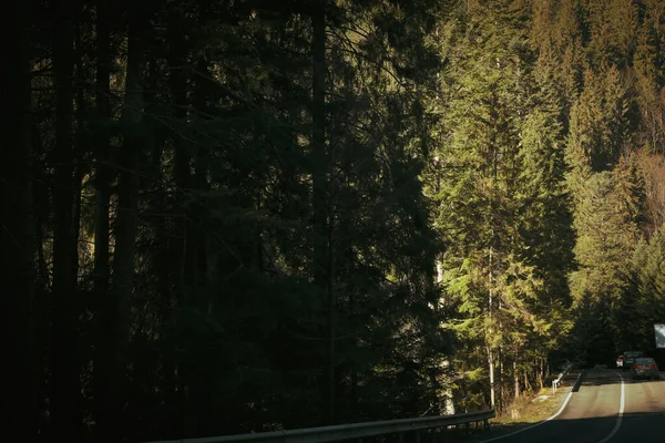 Güneşli bir günde Ukrayna Karpat Dağları 'nda yol