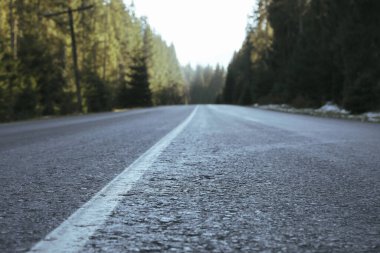 Güneşli bir günde Ukrayna Karpat Dağları 'nda yol