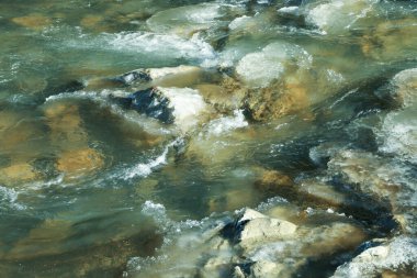 Sonbaharda Karpat dağlarında bir nehir