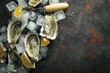 Deniz ürünleri, istiridye kavramı, metin için alan