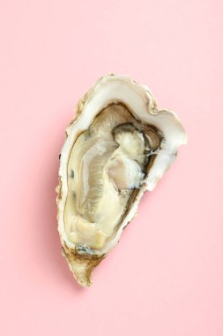 Lezzetli deniz ürünleri kavramı, pembe arka planda istiridye.