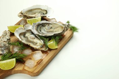 Deniz ürünleri, istiridye kavramı, metin için alan