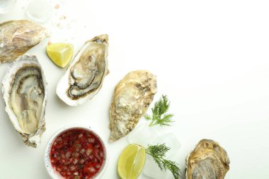 Deniz ürünleri, istiridye kavramı, metin için alan