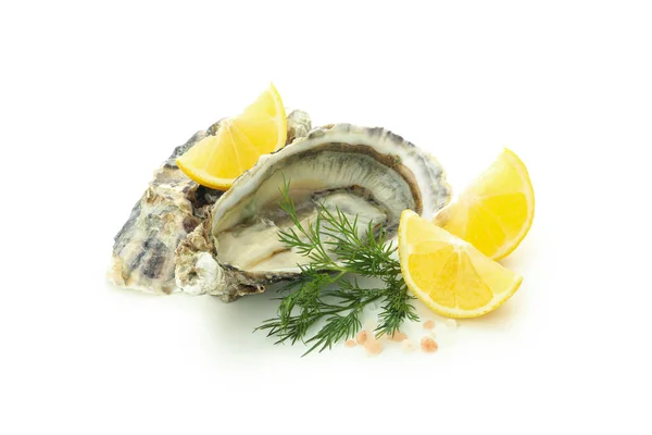 Concept Delicious Seafood Oyster Isolated White Background — Foto de Stock