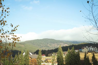 Ukrayna 'daki güzel Karpat manzaralarının fotoğrafı