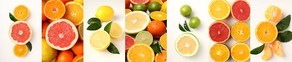 Collage Von Fotos Von Verschiedenen Zitrusfrüchten — Stockfoto