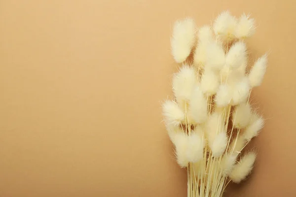 Hygge Konzept Getrocknete Blumen Auf Braunem Hintergrund — Stockfoto