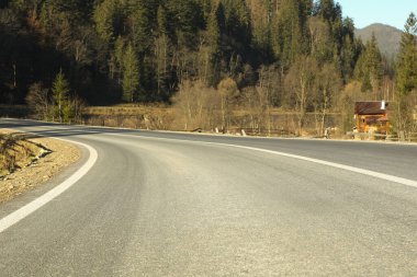 Güneşli bir günde Ukrayna Karpat Dağları 'nda yol