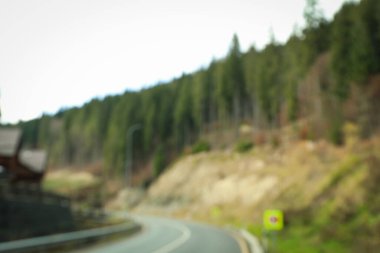 Ukrayna 'daki güzel Karpatların fotoğrafı, seçici odaklanma